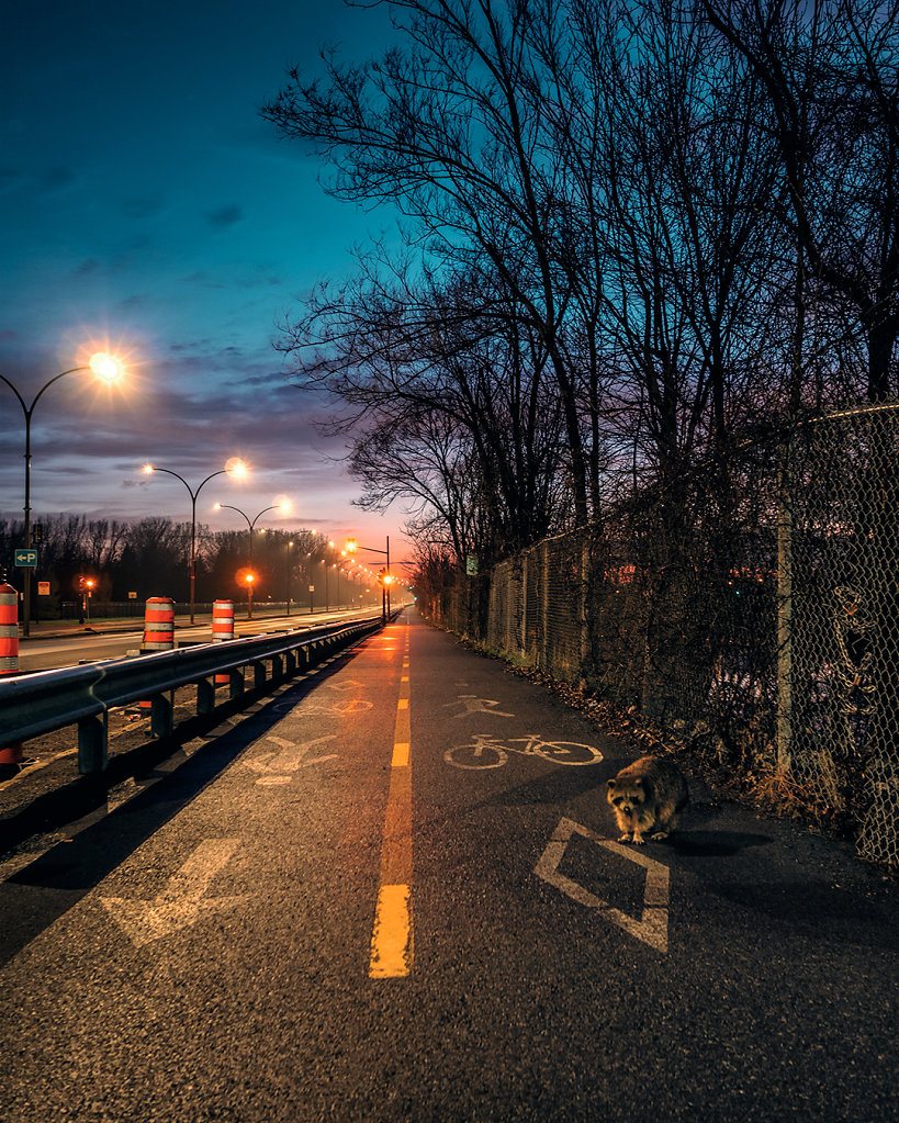 Urban Landscape 0064