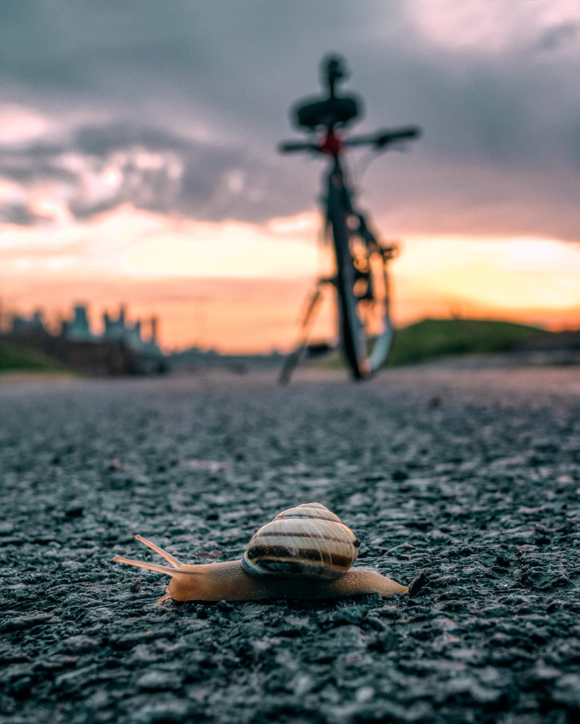 Urban Landscape 0071